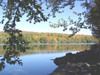 Fall colors